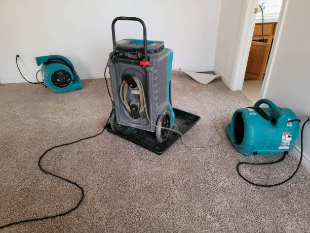  Blair, WI Water damage restoration Pros