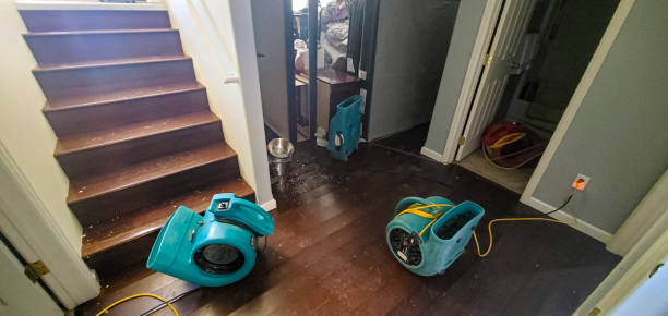 Best Water damage cleanup near me  in Blair, WI