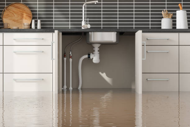 Best Flood damage cleanup  in Blair, WI